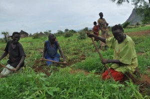 226134_508533055828808_484784345_n